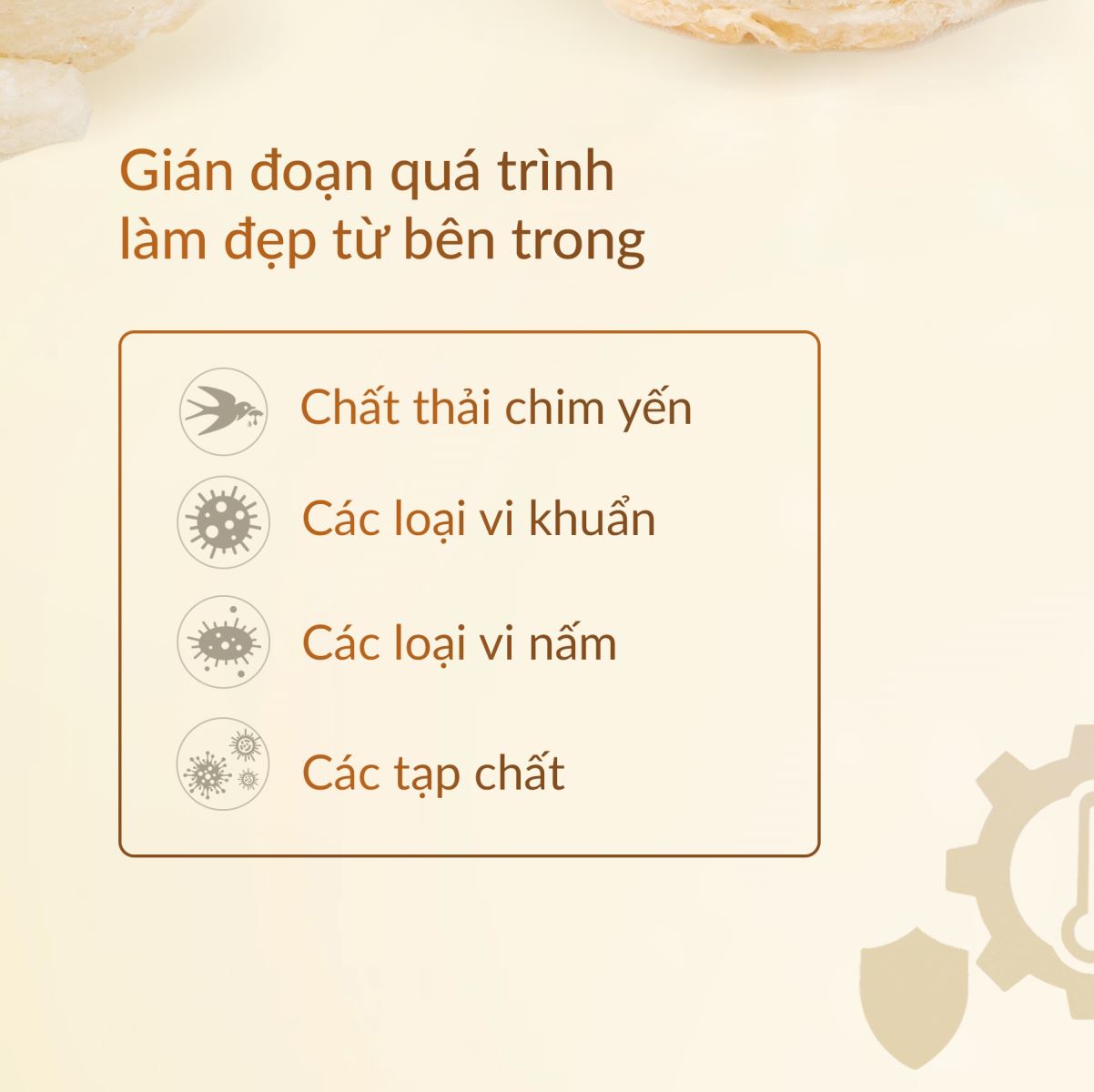 ĐẸP MẮT CHƯA CHẮC ĐẸP DA: BÍ MẬT 44 TRIỆU VI KHUẨN TRONG YẾN SÀO