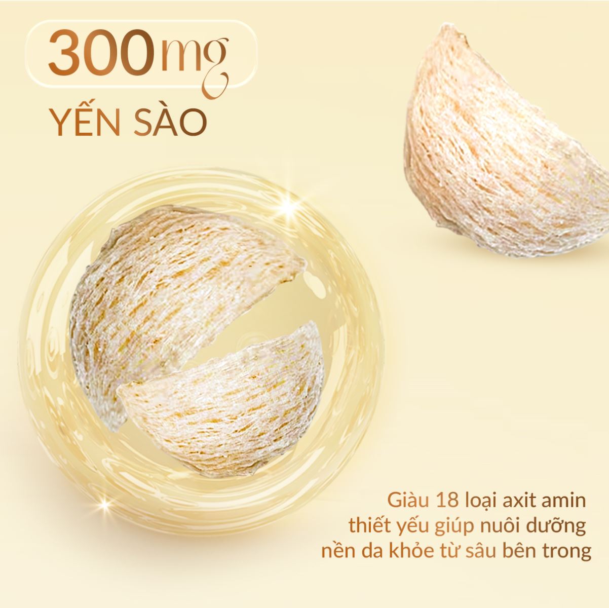 Công Dụng Viên Uống Yến Sào Nest Beauty: Bí Quyết Cho Làn Da Không Tuổi