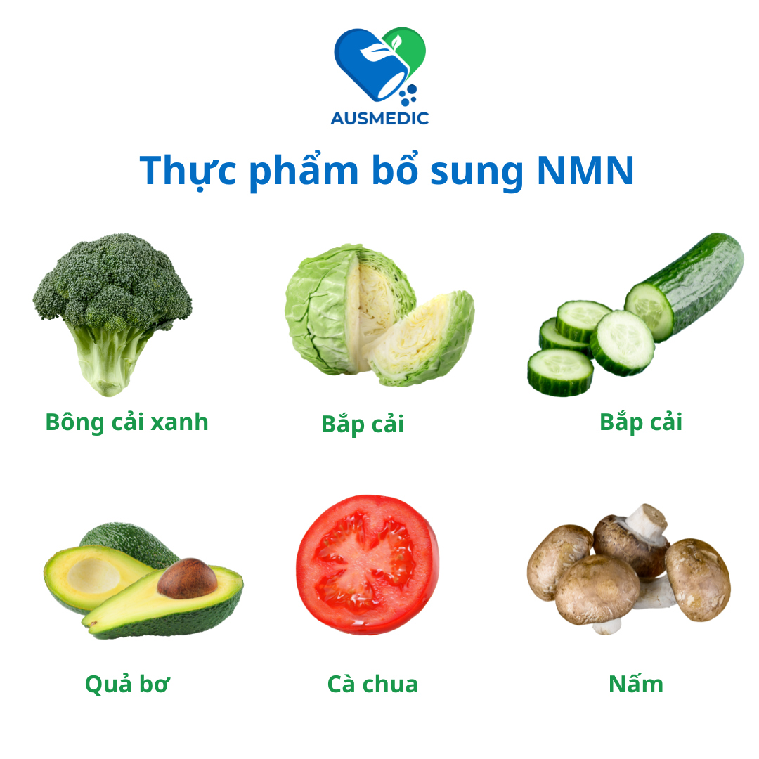 NMN Là Gì? Tác Dụng Thật Sự Đối Với Quá Trình Chống Lão Hóa