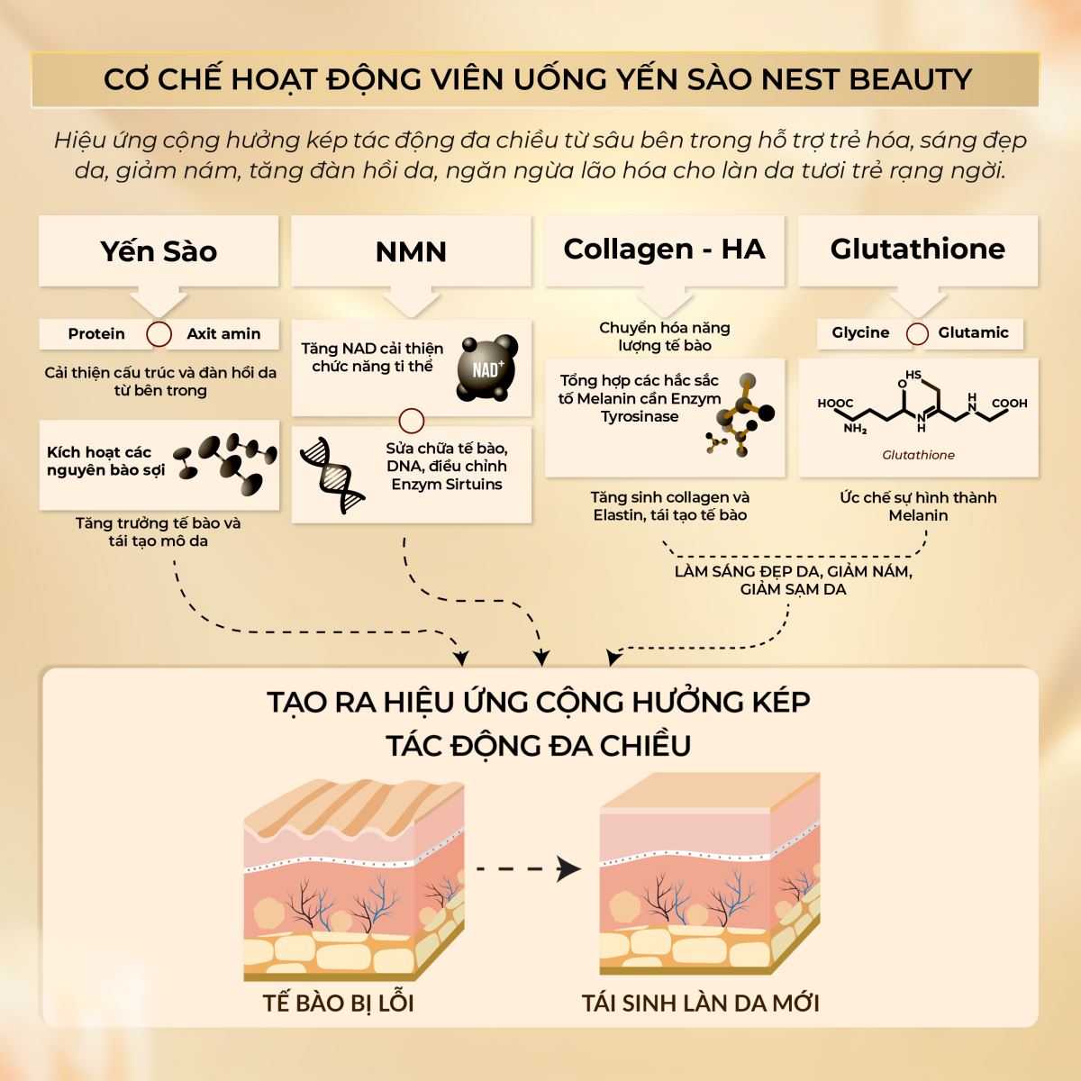 Viên uống yến sào Nest Beauty 