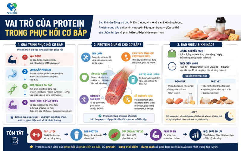 Chọn Viên Uống Phục Hồi Cơ Bắp An Toàn, Hiệu Quả Cao