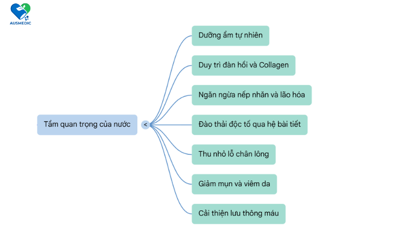 Uống Bao Nhiêu Nước Để Da Đẹp? Công Thức Tính Chuẩn Và Lộ Trình 30 Ngày Rạng Rỡ