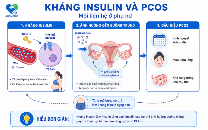 Kháng Insulin Và Buồng Trứng Đa Nang: Mối Liên Hệ, Triệu Chứng Và Cách Cải Thiện