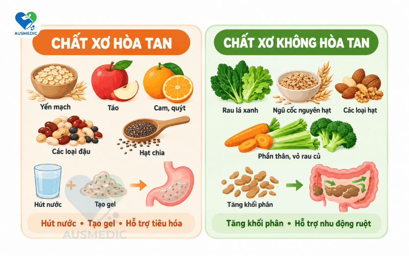 Chất Xơ Là Gì? Phân Loại, Lợi Ích Và Cách Bổ Sung Mỗi Ngày