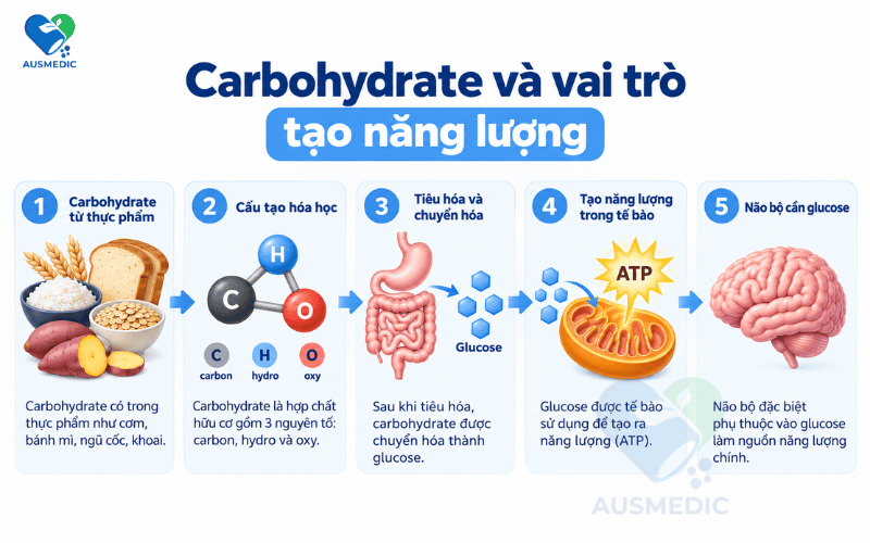 Carbohydrate Là Gì? Phân Loại Và Cách Chọn Carb Đúng Để Tránh Mệt Mỏi, Tăng Cân