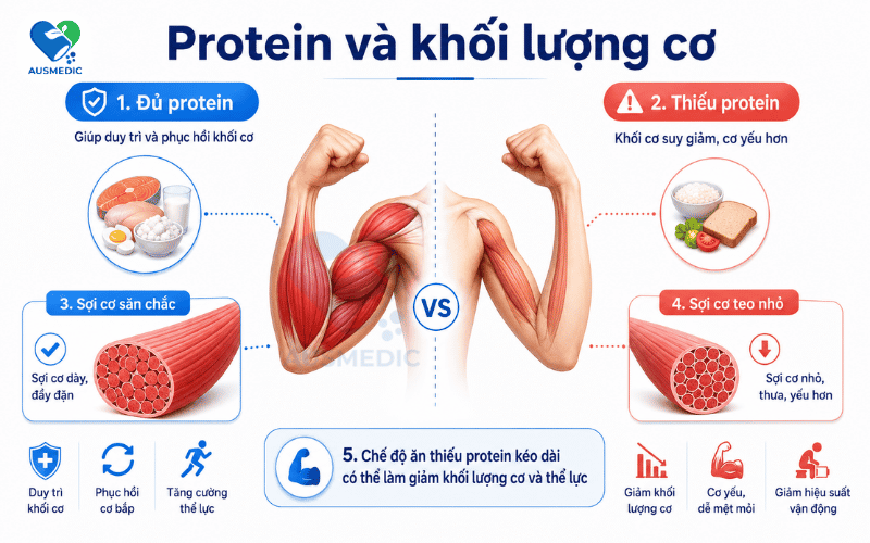 Thiếu Protein Có Biểu Hiện Gì? Nhận Biết Đúng Và Phân Biệt Với Nguyên Nhân Khác