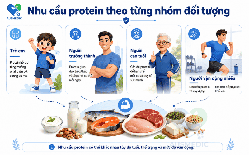 Cơ Thể Cần Bao Nhiêu Protein Mỗi Ngày? Cách Tính Chính Xác Theo Từng Nhóm Người