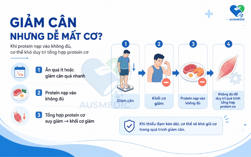 Giảm mỡ giữ cơ nam: cách siết mỡ đúng để không mất cơ, không xuống sức