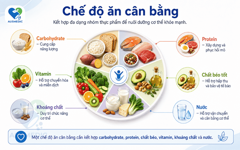 Dinh Dưỡng Là Gì? Vai Trò Của Dinh Dưỡng Đối Với Sức Khỏe Và Sức Đề Kháng