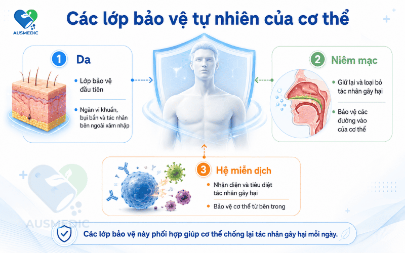 Sức Đề Kháng Là Gì? Cơ Chế Hoạt Động Và Vì Sao Suy Giảm Theo Tuổi Tác, Stress