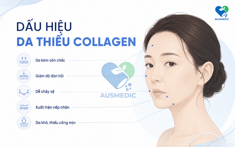 Dấu Hiệu Thiếu Collagen: 9 Cảnh Báo Sớm Trên Da, Tóc, Móng Và Khớp Bạn Không Nên Bỏ Qua