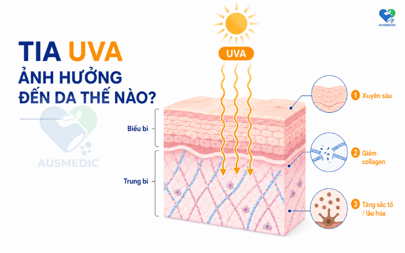 Tia UVA Và UVB Khác Nhau Như Thế Nào? Hiểu Đúng Để Bảo Vệ Da Hiệu Quả