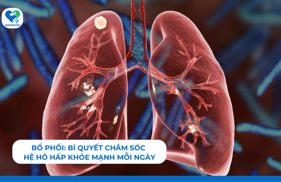 Bổ phổi: Bí quyết chăm sóc hệ hô hấp khỏe mạnh mỗi ngày