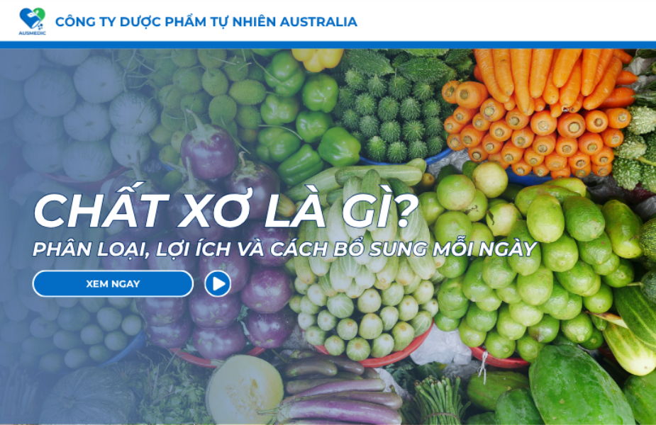 Chất Xơ Là Gì? Phân Loại, Lợi Ích Và Cách Bổ Sung Mỗi Ngày