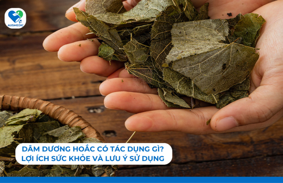 Dâm Dương Hoắc Có Tác Dụng Gì? Lợi Ích Sức Khỏe Và Lưu Ý Sử Dụng