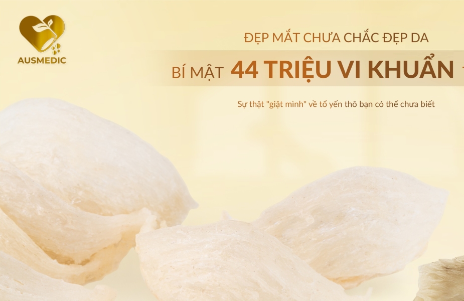 Đẹp Mắt Chưa Chắc Đẹp Da: BÍ MẬT 44 TRIỆU VI KHUẨN TRONG YẾN SÀO