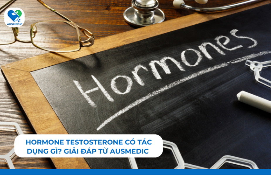 Hormone Testosterone Có Tác Dụng Gì? Giải Đáp Từ Ausmedic 