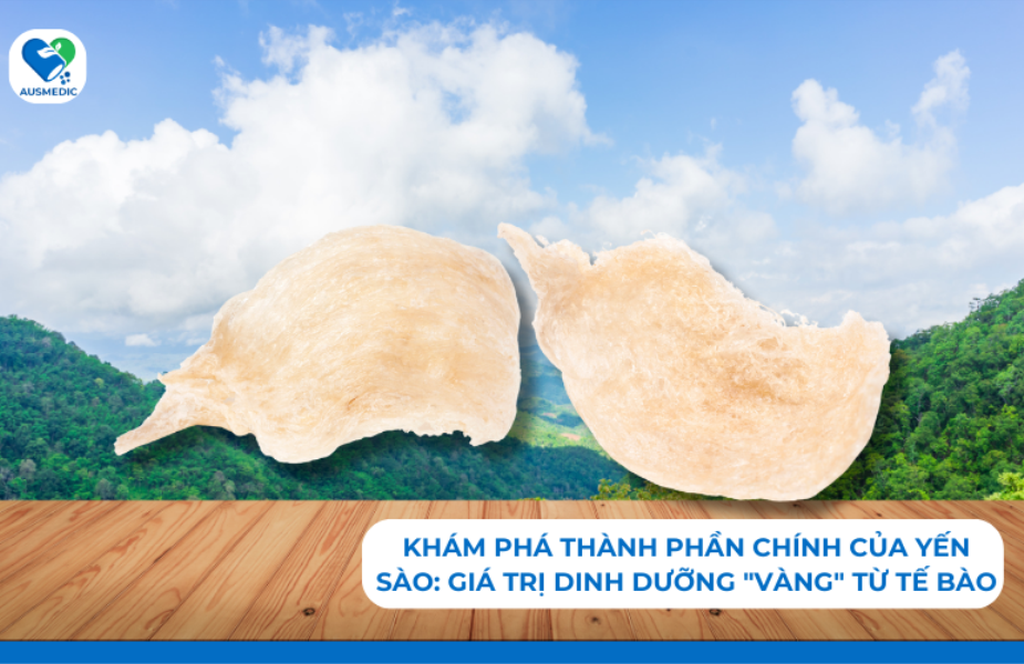 Khám phá Thành phần chính của yến sào: Giá trị dinh dưỡng 