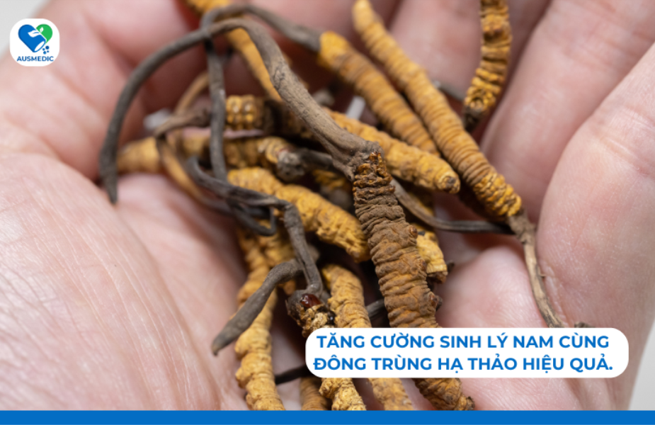 Tăng cường sinh lý nam cùng Đông trùng hạ thảo hiệu quả.