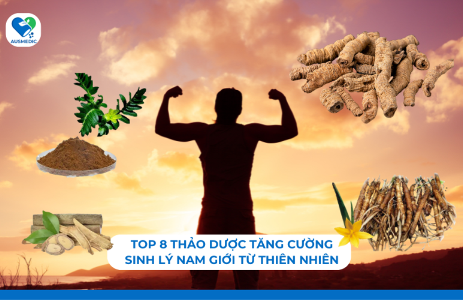 Top 8 Thảo Dược Tăng Cường Sinh Lý Nam Giới Từ Thiên Nhiên