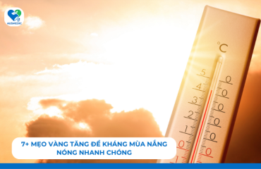 7+ Mẹo Vàng Tăng Đề Kháng Mùa Nắng Nóng Nhanh Chóng