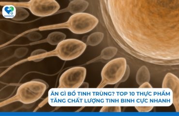 Ăn gì bổ tinh trùng? Top 10 thực phẩm tăng chất lượng tinh binh cực nhanh
