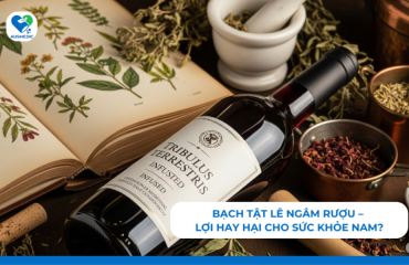 Bạch tật lê ngâm rượu – lợi hay hại cho sức khỏe nam?