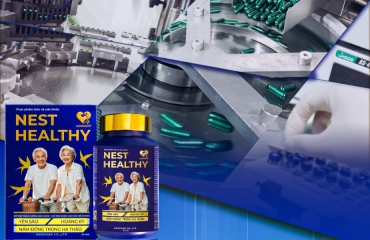 Có Nên Dùng Nest Healthy Thay Yến Tinh Chế Không? Ưu Nhược Điểm Chi Tiết