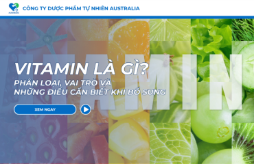 Vitamin Là Gì? Phân Loại, Vai Trò Và Những Điều Cần Biết Khi Bổ Sung